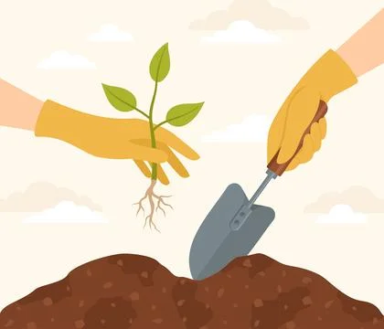 Two hands in yellow rubber gloves with a shovel and a seedling Stock Illustration