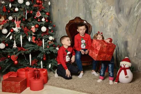 Two happy boys at the festive difference of fir trees look at the gifts 写真素材