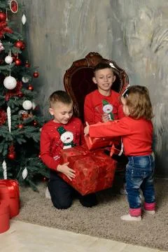 Two happy boys at the festive difference of fir trees look at the gifts 写真素材