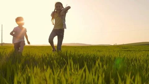Two happy children playing in the field at the day time. Stock Footage 75455036