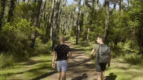 Two happy handsome young men walking in the forest in broad daylight, jumping, Stock-Footage 111898149