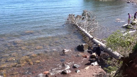 Two Harbors MN/USA August 2019: Boy playing on fallen tree at Iona's Beach, Two Stock Footage 124166238