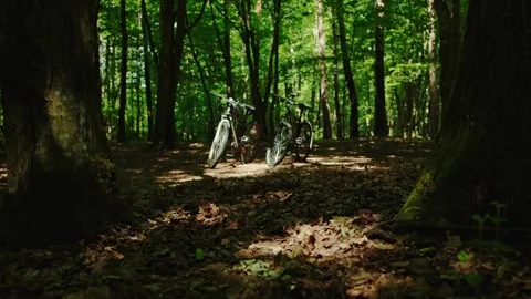 Two hardtail mountain bikes are in a dense forest during break rest, nobody Stock Footage 289523452