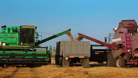 Two Harvesters are Unloading Grain to the Truck 動画素材 106466497