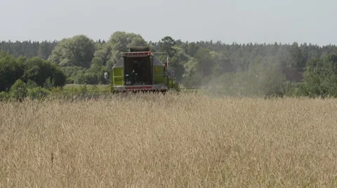 Two harvesters on cornfield Stock Footage 62271315