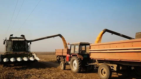 Two Harvesters Unload Corn Video stock 126994054