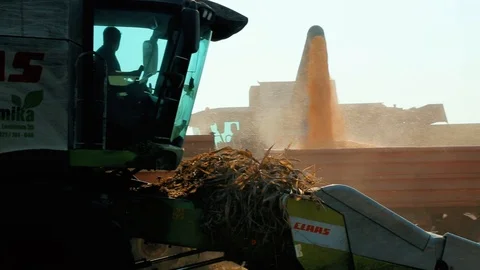 Two Harvesters Unloading Corn Into A Trailer 스톡 동영상 126994048