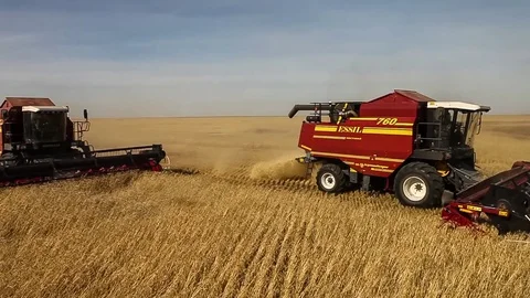 Two harvesters. Wheat harvest Stock Footage 73080835
