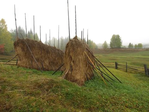 Two haystack in green wet meadow Stock Photos