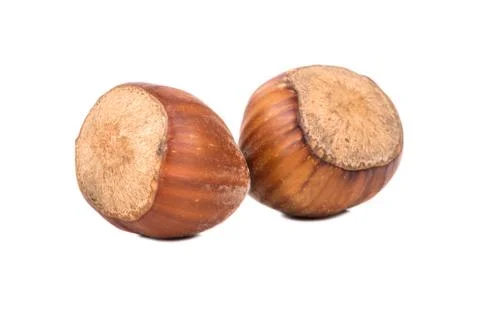 Two hazelnuts in shell Stock Photos