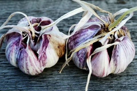 Two heads of garlic Stock Photos