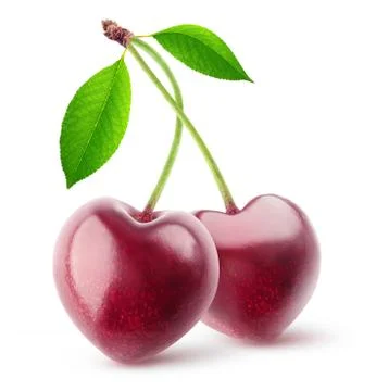 Two heart shaped cherries Stock Photos