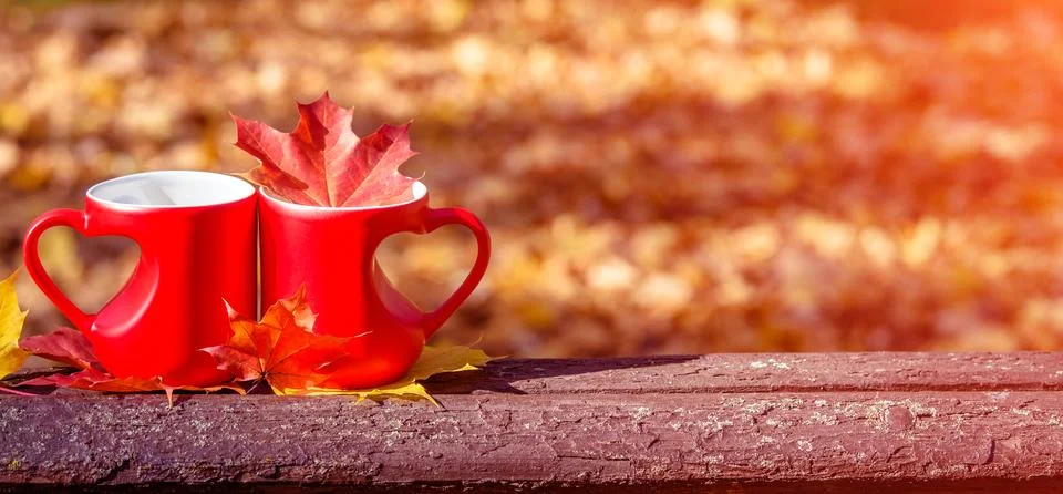 Two heart shaped mugs with tea on a Park bench Stock Photos