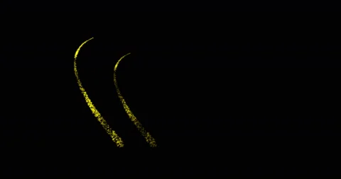 Two hearts appearing as a line of flickering stars and then transforming into a Stock Footage 85491439