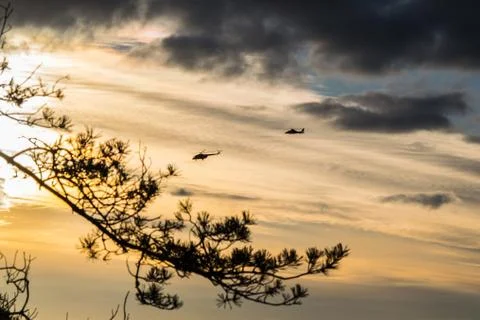 Two helicopters flying in evening sky Stock Photos