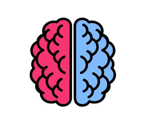 Two hemispheres of the brain on a white background. Illustrazione stock