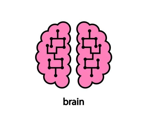 Two hemispheres of the brain on a white background. Vector.т Stock Illustration