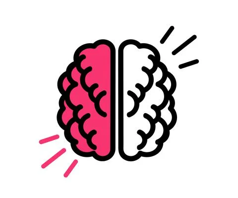 Two hemispheres of the brain on a white background. Stock Illustration