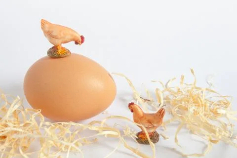 Two hens and an egg Stock-Fotos