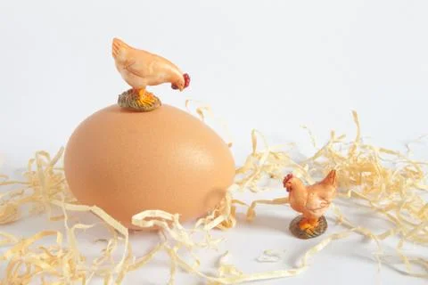 Two hens and an egg Fotos Stock