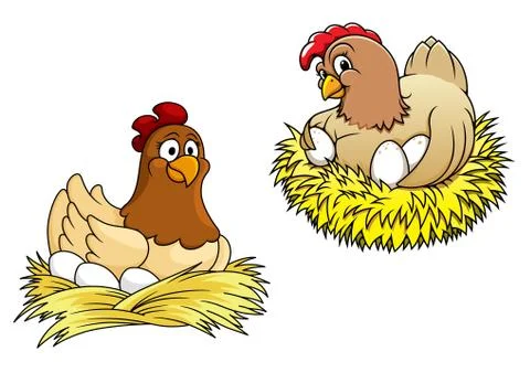 Two hens incubating their eggs Stockillustratie