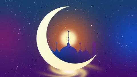 Two Hens on the Ramp Stock Footage 303366156