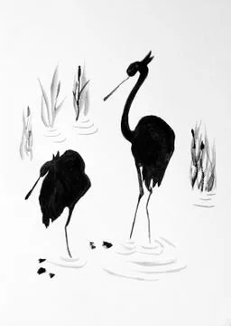 Two herons Stock Illustration