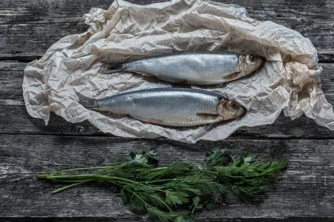Two herring on paper. Stock Photos