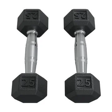 Two Hex Dumbbells with number 2.5, weightlifting gym equipment top view Illustrazione stock