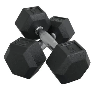 Two Hex Dumbbells with number 5, weightlifting gym equipment Illustrazione stock