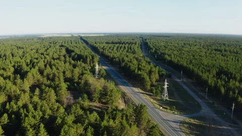 Two highways among pine forests 스톡 동영상 246185096