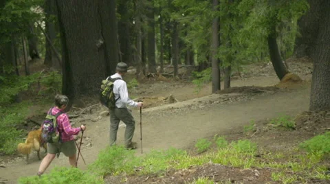 Two hikers and their dog Stock Footage 59083068