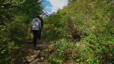 Two hikers ascend rocky trail surrounded by tall ferns and trees Stock Footage 346388975