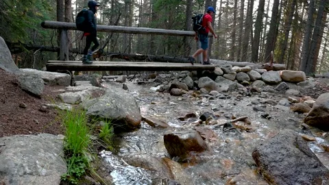 Two hikers cross a small log bridge Stock Footage 158902837