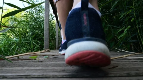 Two hikers crosses a footbridge surrounded by dense vegetation Stock Footage 227798587