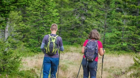 Two Hikers in Forest Split and Choose to Walk Away on Different Paths Stock Footage 124218159