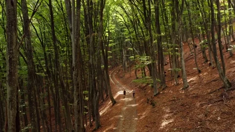 Two hikers going on trail in fall mountain forest Stock Footage 153519047