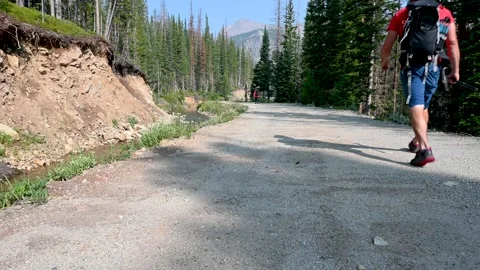 Two hikers on Red Mountain Trail Stock Footage 158903050