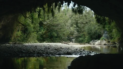 Two hikers silhouetted in a natural cavern beside river in New Zealand forest Stock Footage 89999044