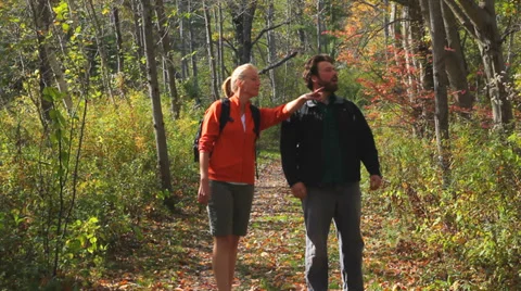 Two hikers stop to look at something in the woods. Stock Footage 31821658
