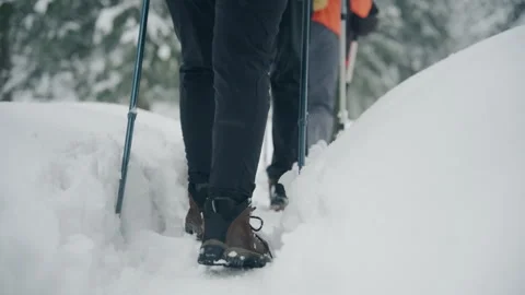 Two hikers trek through snowy forest using poles for support in winter adventure Stock Footage 341337634