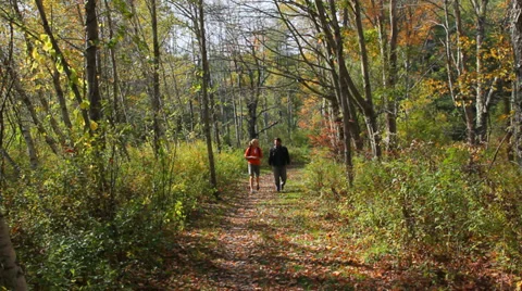 Two hikers walk down scenic wood path in early autumn, fall foliage, wide shot. Stock Footage 31821590