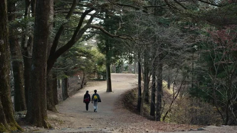 Two hikers walking along a forest path on Mount Ōtake, Japan Stock Footage 319620850
