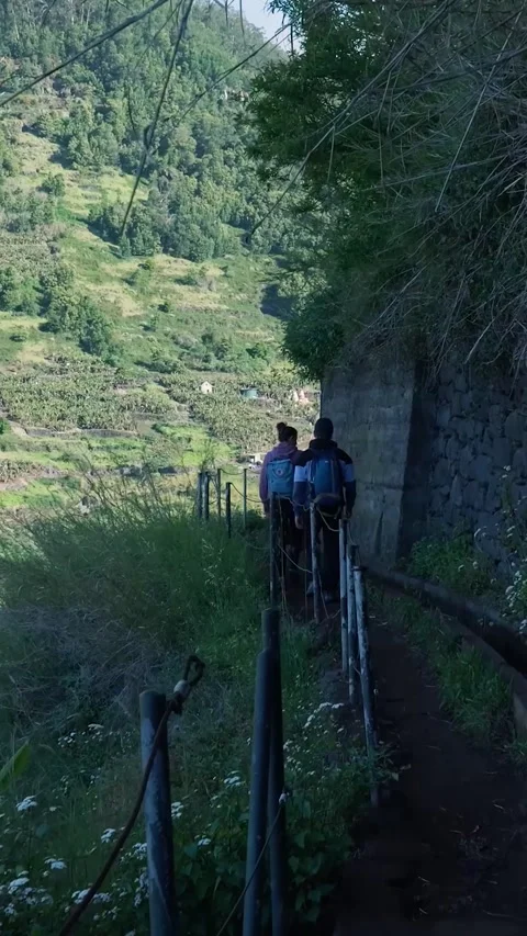 Two hikers walking along a levada trail in madeira 库存影片 334442083