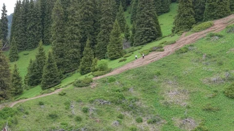 Two hikers walking along a winding trail through green forested hillside Vídeos de archivo 340394325