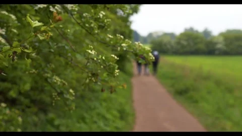 Two hikers walking on a dirt path through a green countryside landscape with Stock Footage 326369146