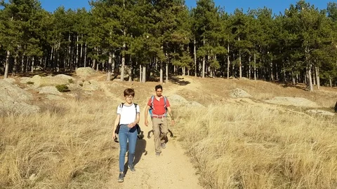 Two hikers walking down a path in sunny weather Vídeos de archivo 104834321