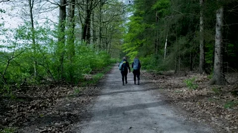 Two hikers walking on a path in a lush green forest Vídeos de archivo 336594510