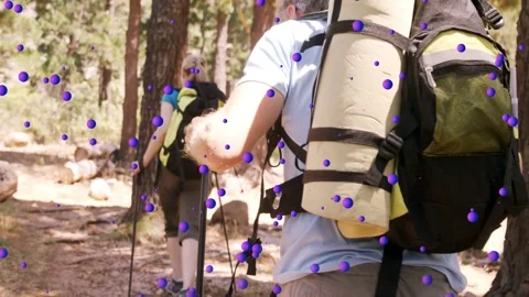 Two hikers walking pine trail, camera tracking, purple dots overlay on packs for Stock Footage 333894056