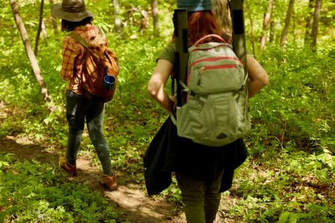 Two hikers walking through forest Foto stock